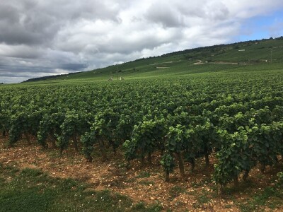 PREDSTAVLJANJE KNJIGE - Putopisne paralele Od Cerodola do Burgundije