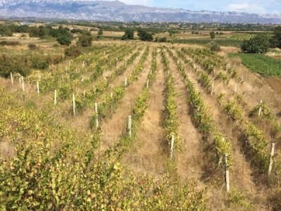 PREDSTAVLJANJE KNJIGE - Putopisne paralele Od Cerodola do Burgundije