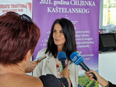 Predstavljanje programa ovogodišnjeg Zinfesta