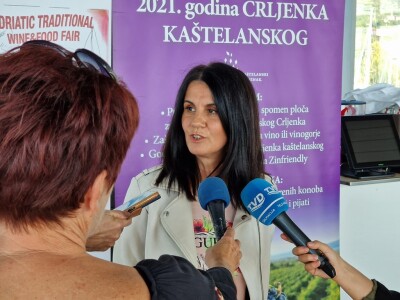 Predstavljanje programa ovogodišnjeg Zinfesta