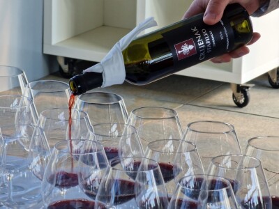 Predstavljanje programa ovogodišnjeg Zinfesta