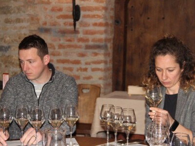 Predstavljen projekt klonske selekcije autohtone vinske sorte pušipel Predstavljen projekt klonske selekcije autohtone vinske sorte pušipel