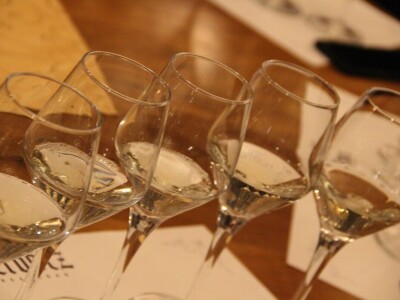 Predstavljen projekt klonske selekcije autohtone vinske sorte pušipel Predstavljen projekt klonske selekcije autohtone vinske sorte pušipel