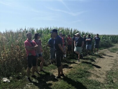 Predstavljene nove tehnologije u proizvodnji luka