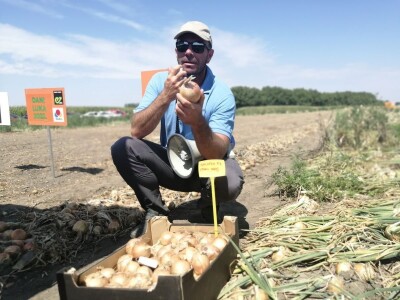 Predstavljene nove tehnologije u proizvodnji luka