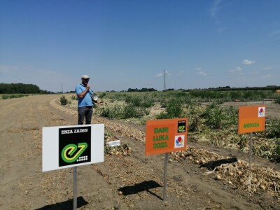 Predstavljene nove tehnologije u proizvodnji luka