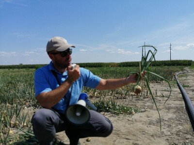 Predstavljene nove tehnologije u proizvodnji luka