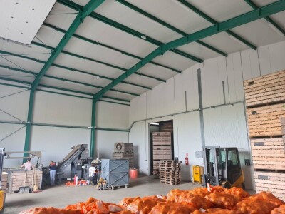 Predstavljene nove tehnologije u proizvodnji luka