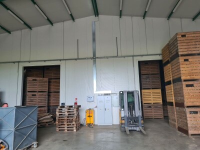 Predstavljene nove tehnologije u proizvodnji luka