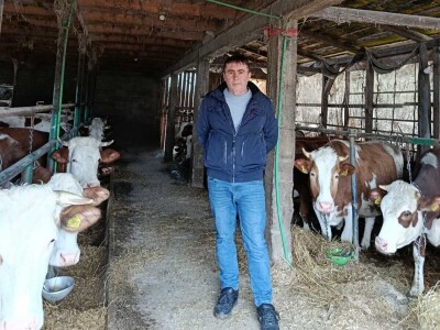 Preko noći otkazan otkup mlijeka Suadu Kulaniću