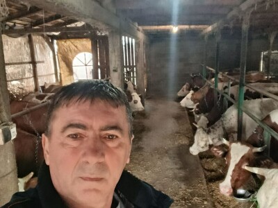 Preko noći otkazan otkup mlijeka Suadu Kulaniću