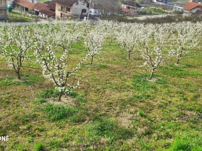 Preko zadruga do boljeg tržišta
