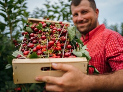 Preko zadruga do boljeg tržišta