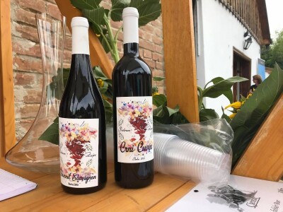 Premium vinski maraton