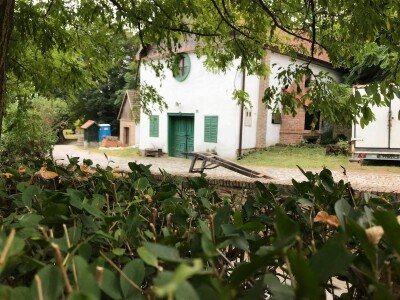 Premium vinski maraton