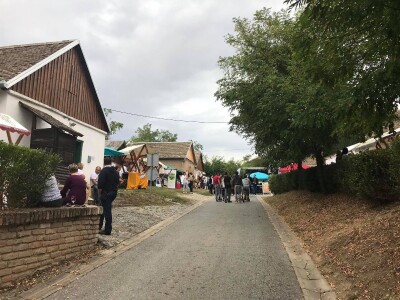 Premium vinski maraton