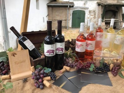 Premium vinski maraton