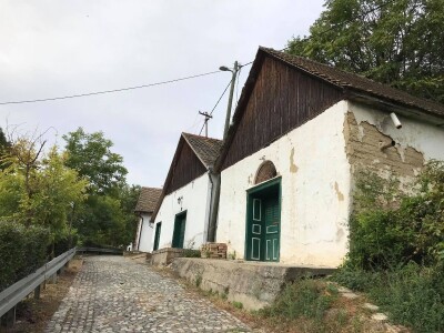 Premium vinski maraton