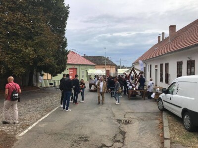 Premium vinski maraton