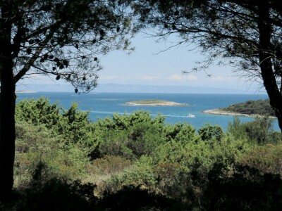 Preobrazba cvrčka Preobrazba cvrčka