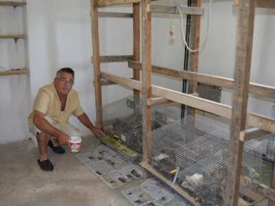 PREPELICE06 PREPELICE06