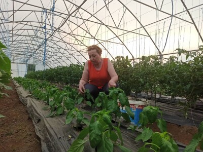 Preporučujem svima da se posvete obradi zemlje Preporučujem svima da se posvete obradi zemlje