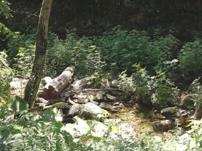 Prestala da radi Draganova vodenica