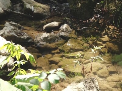 Prestala da radi Draganova vodenica