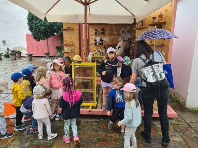 Prezentacija apisarija u Varaždinu Prezentacija apisarija u Varaždinu