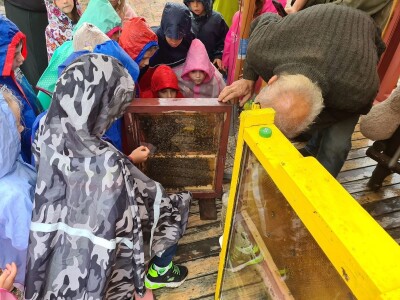 Prezentacija apisarija u Varaždinu Prezentacija apisarija u Varaždinu