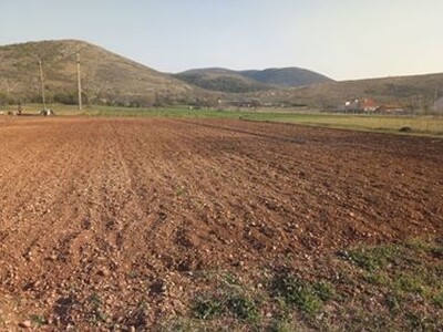 Poljoprivredno gazdinstvo Prguda Poljoprivredno gazdinstvo Prguda