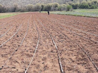 Poljoprivredno gazdinstvo Prguda Poljoprivredno gazdinstvo Prguda