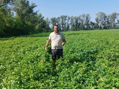 Priča o Lišanskoj bari