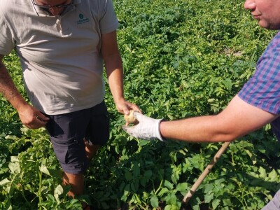 Priča o Lišanskoj bari