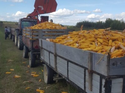 Priča o Mariu Komljenoviću  - odličnom studentu agronomije i vrijednom sinu na obiteljskom gospodarstvu