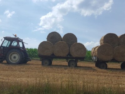Priča o Mariu Komljenoviću  - odličnom studentu agronomije i vrijednom sinu na obiteljskom gospodarstvu
