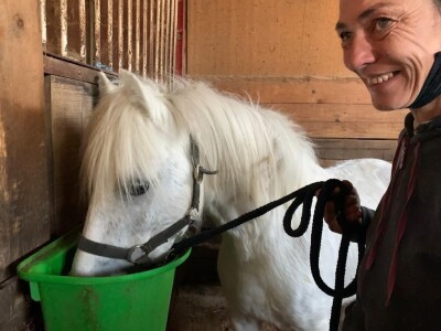 Priča o radnom konju kojeg su Bračanke spasile od klaonice