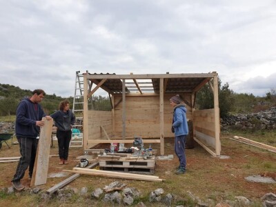 Priča o radnom konju kojeg su Bračanke spasile od klaonice