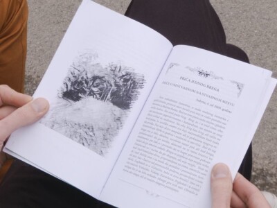 Priče iz Pričevića