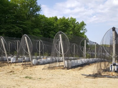 Prigorje voće d.o.o.