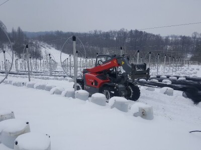 Prigorje voće d.o.o.