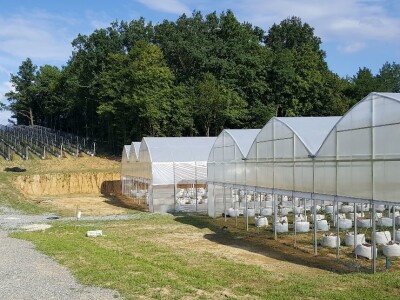 Prigorje voće d.o.o.