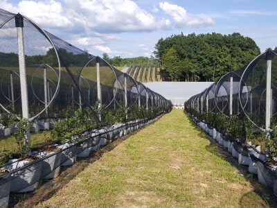 Prigorje voće d.o.o.
