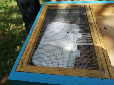 Prihrana pčela Prihrana pčela