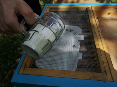 Prihrana pčela Prihrana pčela