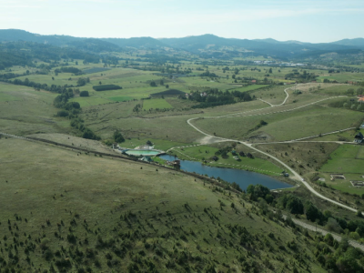 Prihrana pčela i Kolakovo pčelarstvo