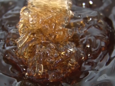 Prihrana pčela i Kolakovo pčelarstvo