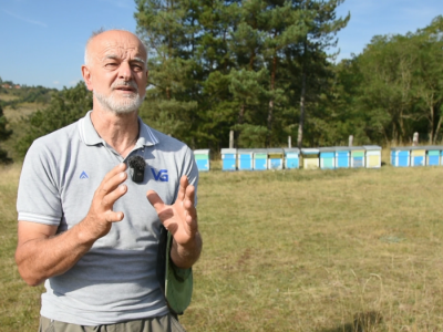 Prihrana pčela i Kolakovo pčelarstvo