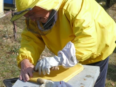 Prihrana pčela pogačama oplemenjenim polenom