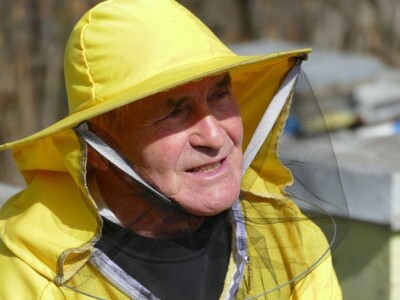 Prihrana pčela pogačama oplemenjenim polenom